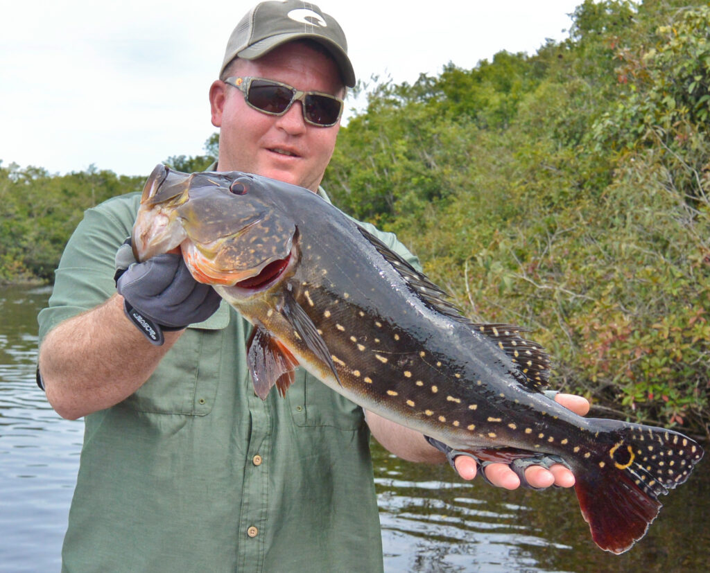 Fishing Trips in Brazil Fishing in Brazil.