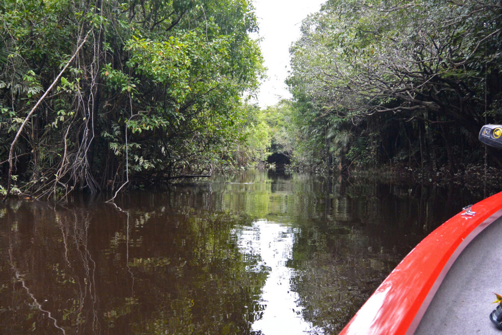 Fishing Trips in Brazil Fishing in Brazil.
