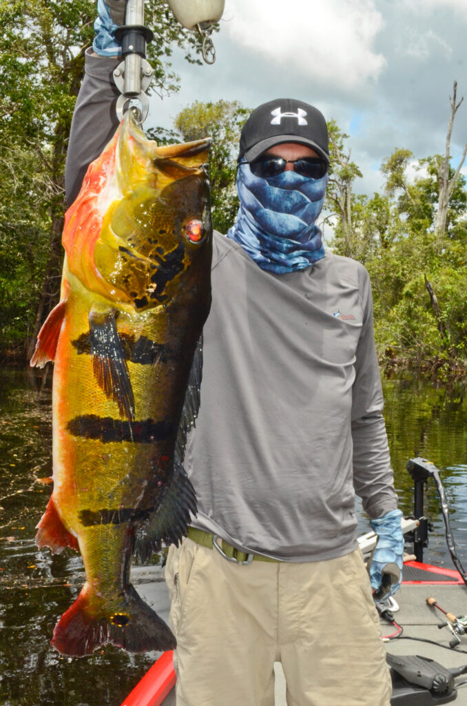 Angler holding a trophy peacock bass aboard a bass boat in the Amazon, after a successful Kraken-guided fishing trip in Brazil.