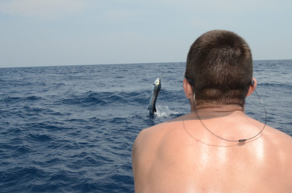 Pacific sailfish leaping during a live hookup on a sailfish fishing trip in Guatemala.